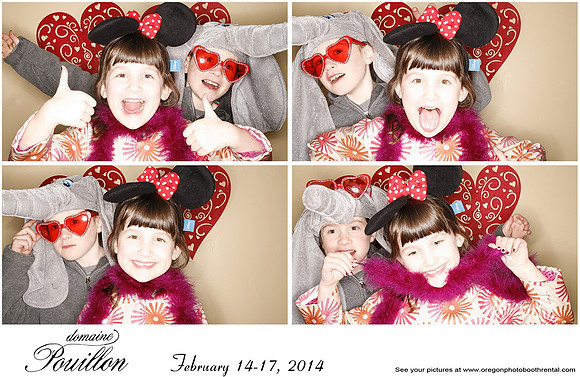 Washington Wine country Photo Booth (66)